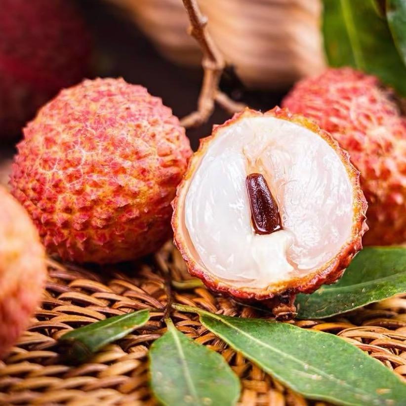 福桂果业-荔枝季