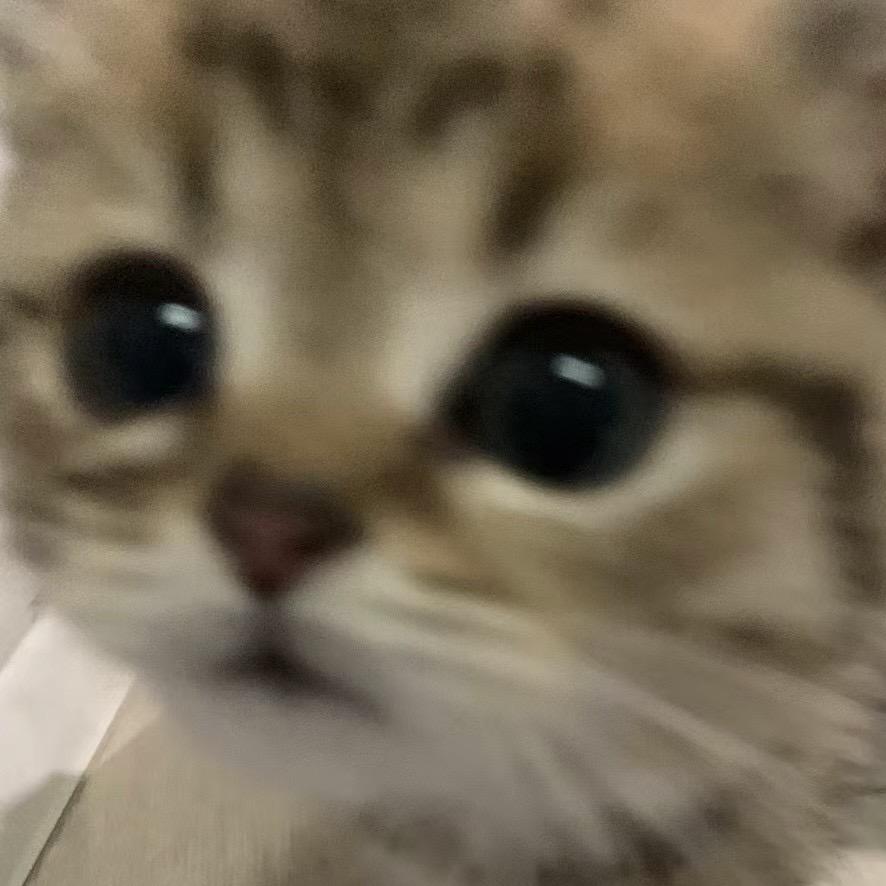我是二虎