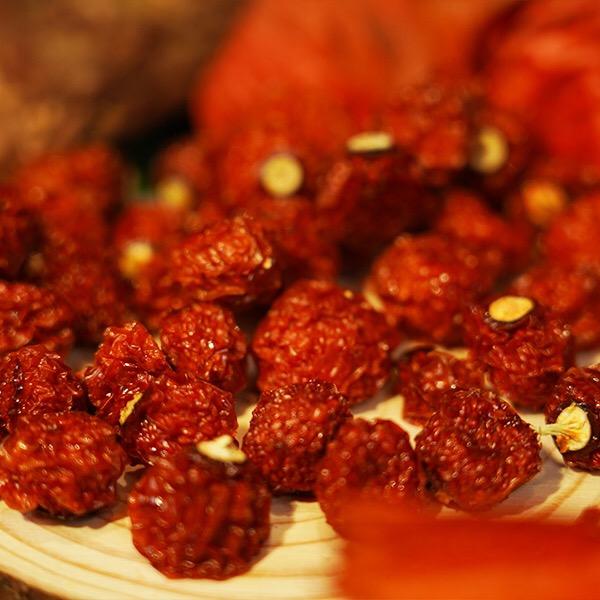 金力美红菇娘基地