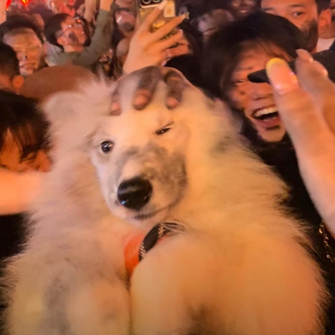 今天看什么亚
