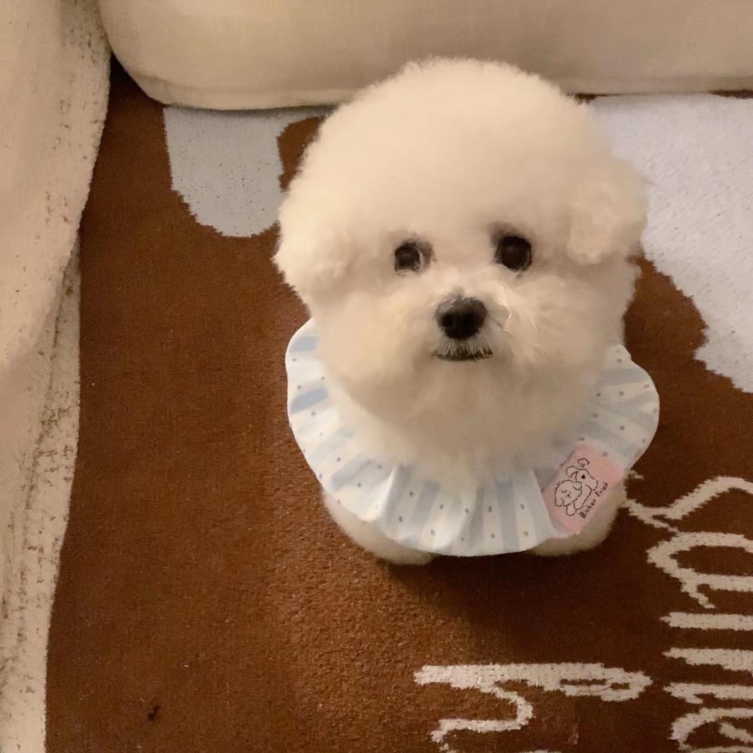 风过