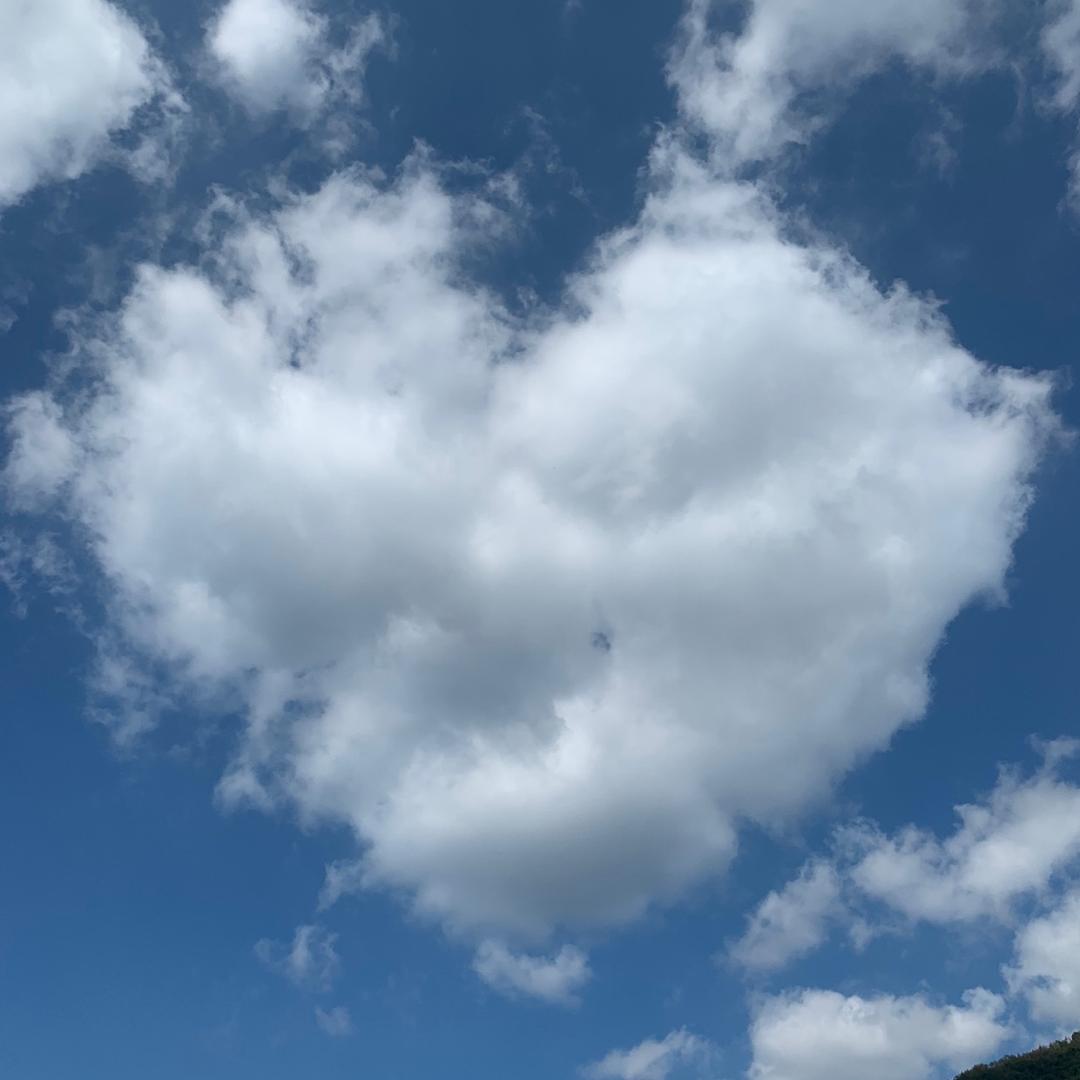 宋太太洗护品牌店