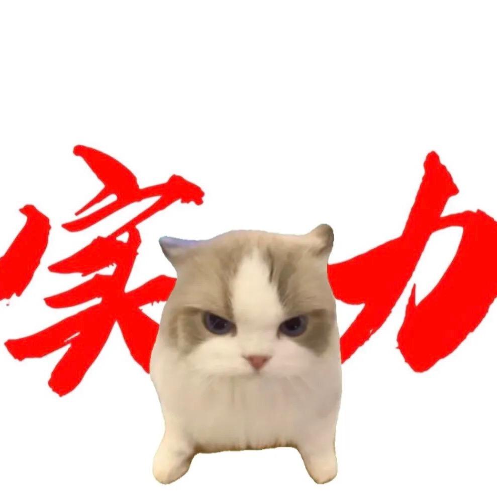 奇瑞柳市宝狮