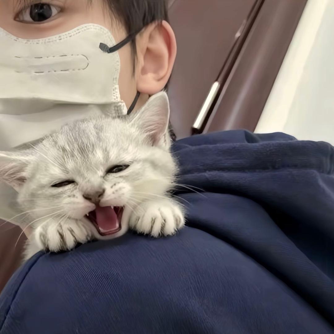 我就一个铱