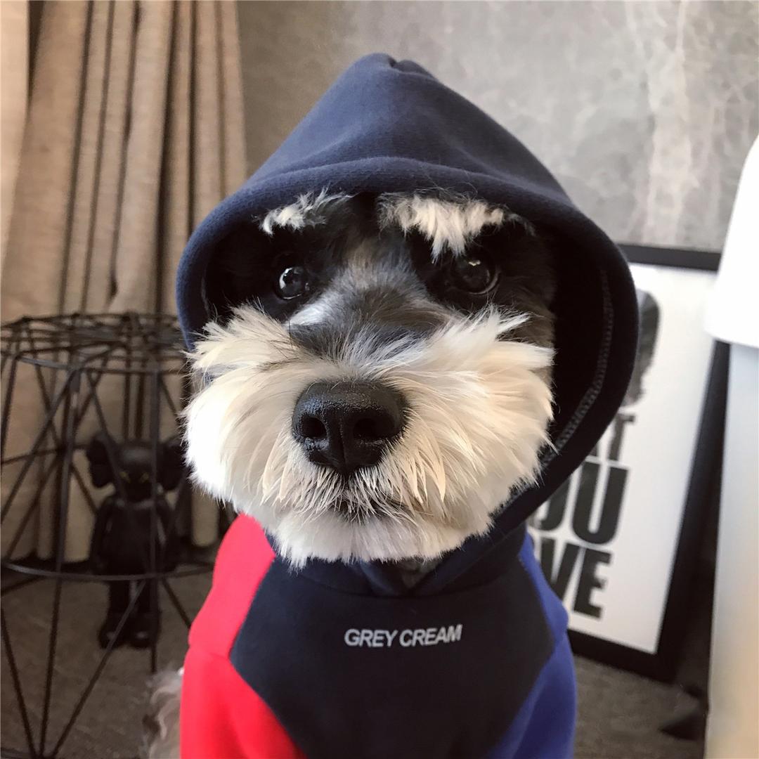 小熊ᵍᵘ噜噜
