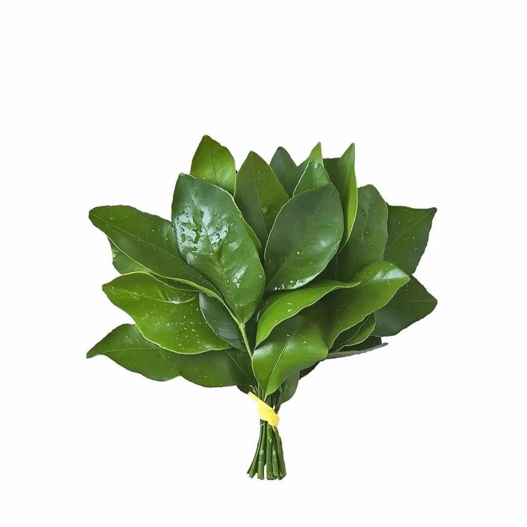 小娜