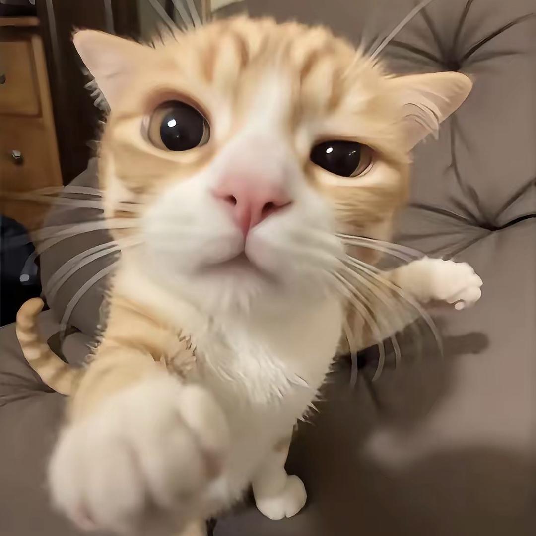 吃馒头不吃拳头👊