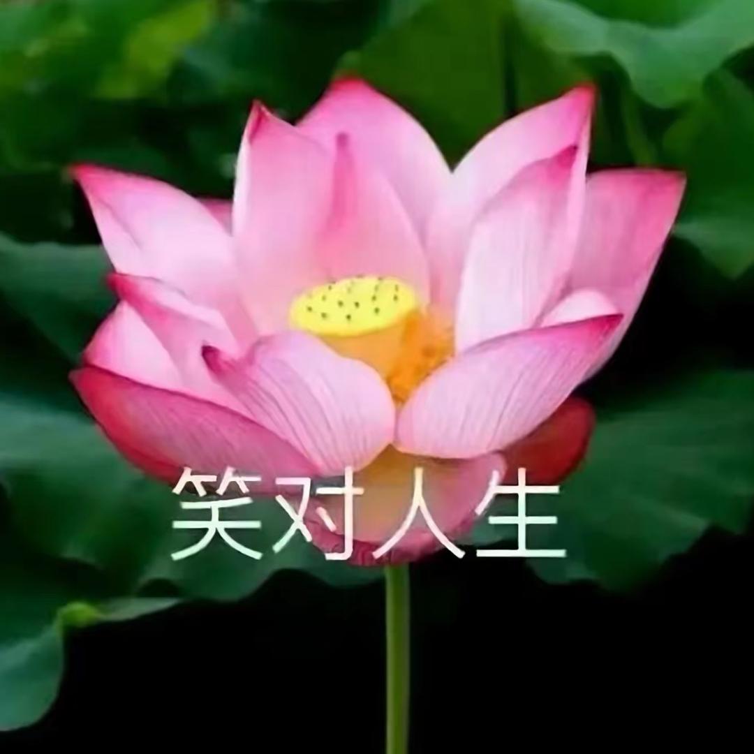 广场舞达人