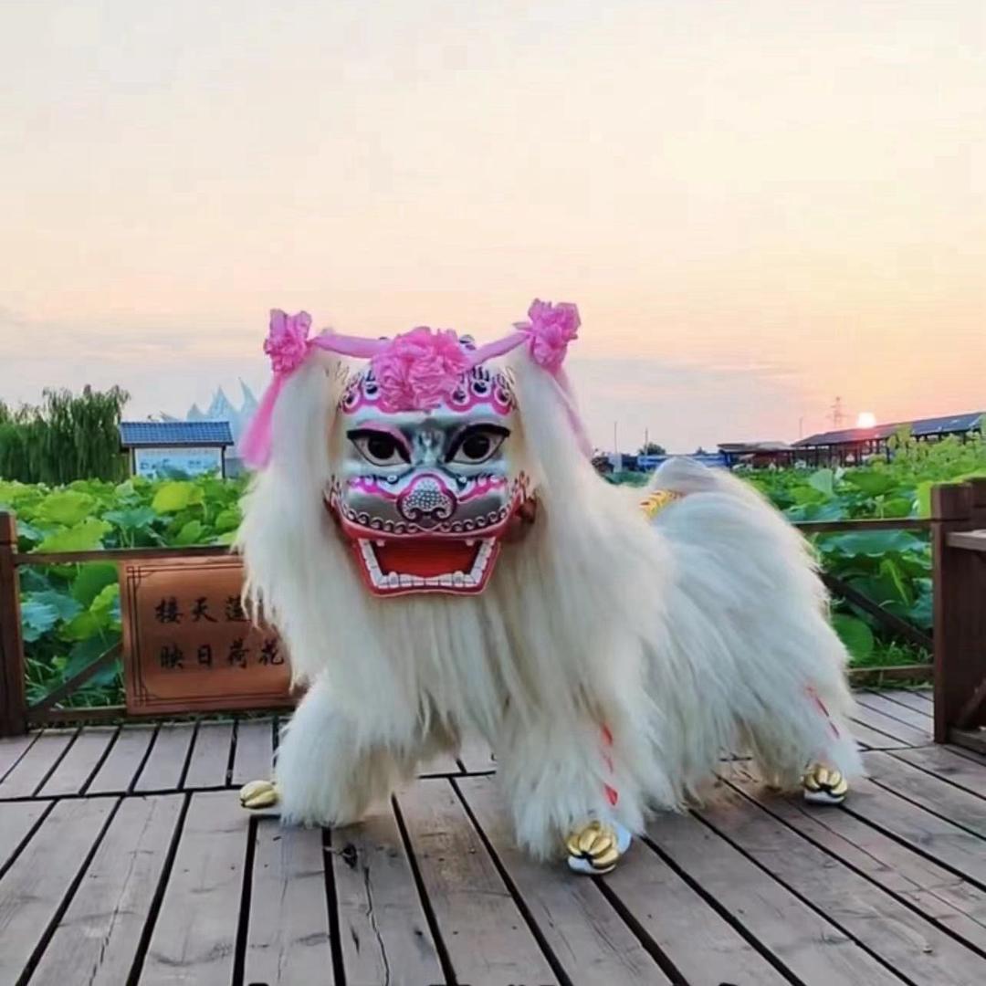 濮阳华年舞狮团专业小白狮（可全国接单）