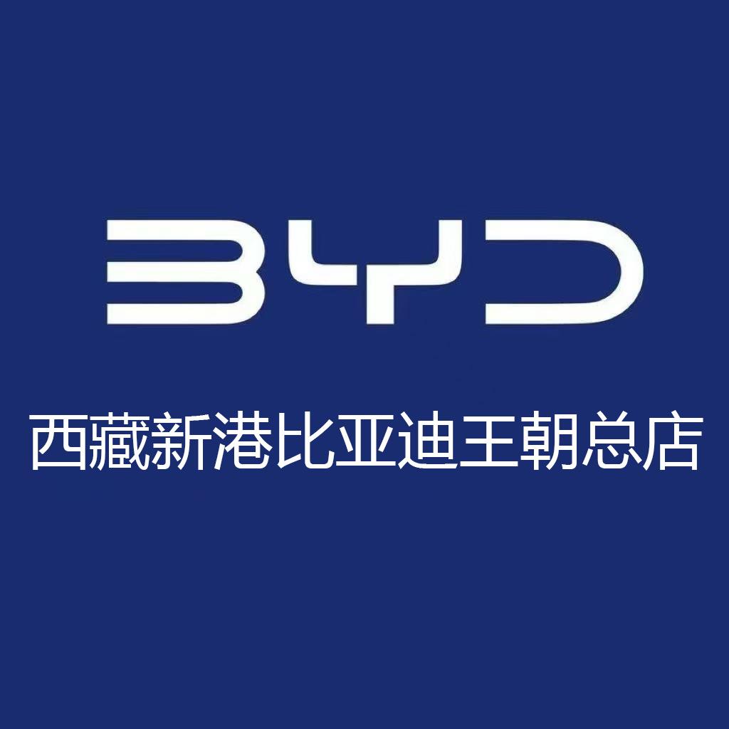 比亚迪西藏总店-销售鑫鑫