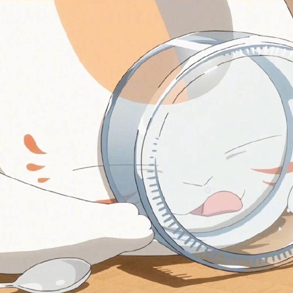 C6H6猫