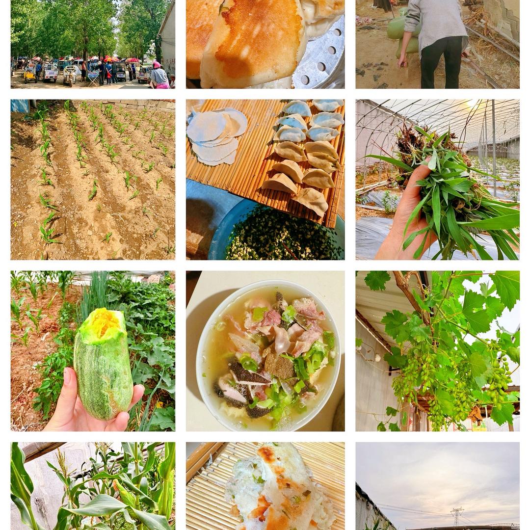 乡村的玉娟阿姨