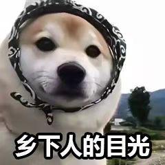🐻🐻好物甄选（互关秒回）