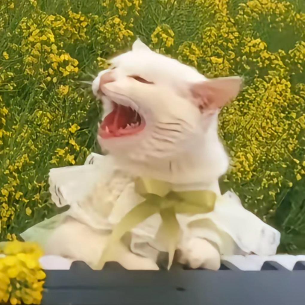 炸鱼丸੭ﾞ