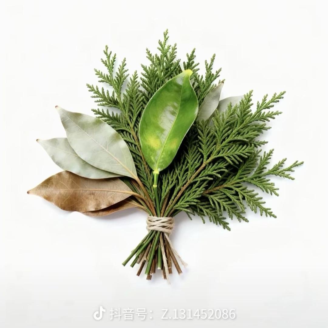 两个理由立马执行的女人