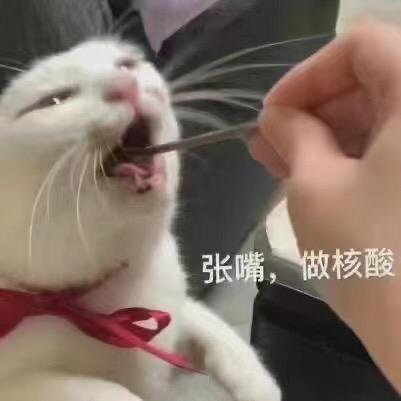 闪亮亮