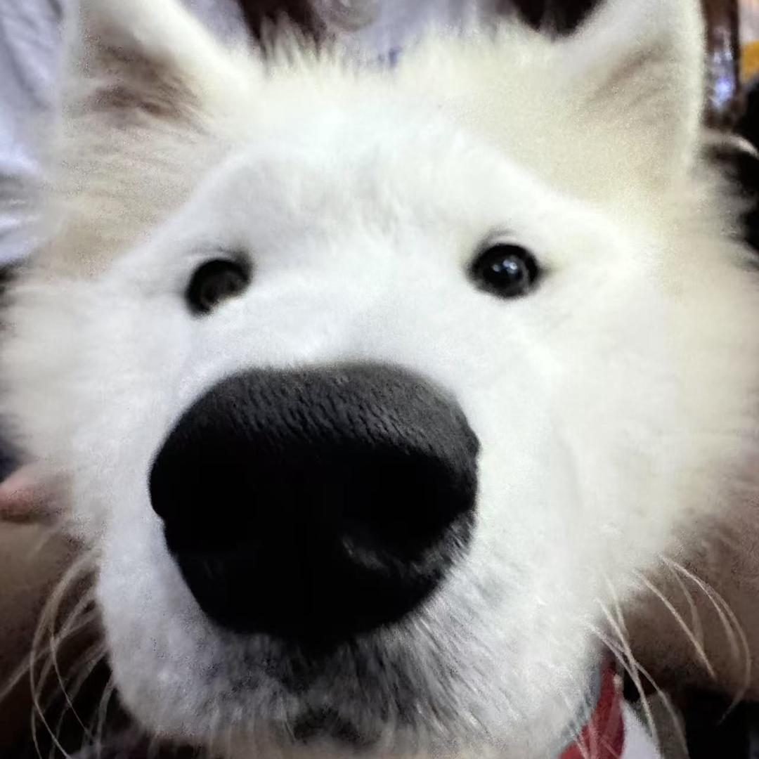 Z z z c c c c c c