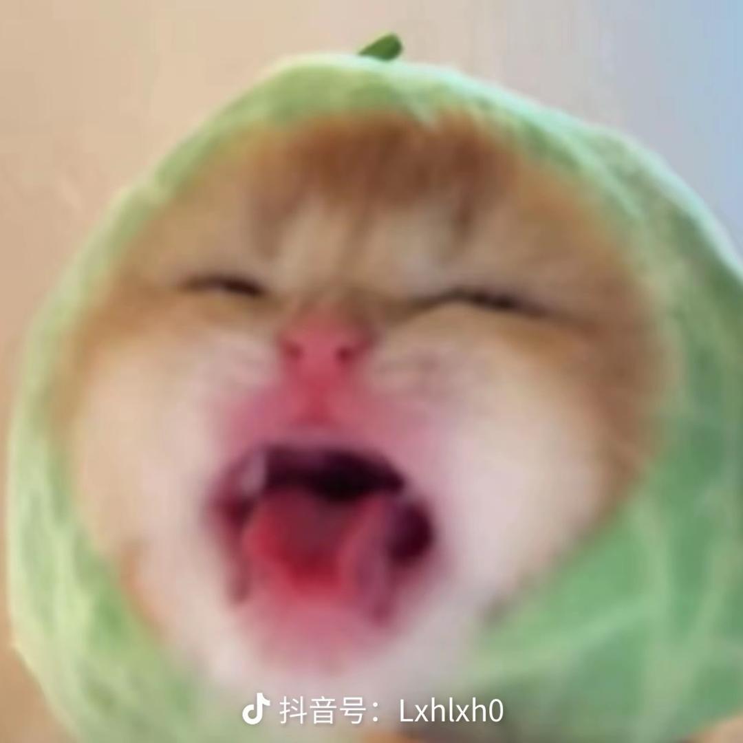 钟落落