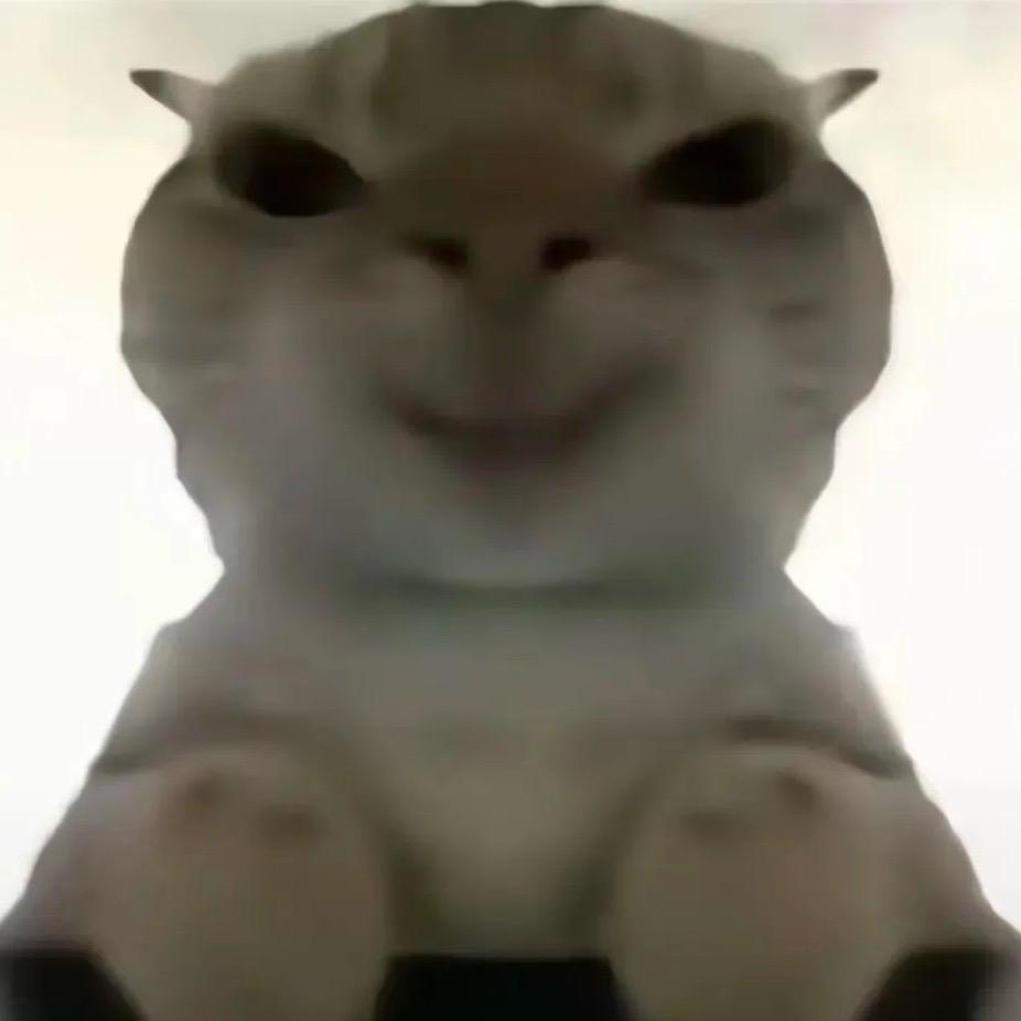 佑🪽