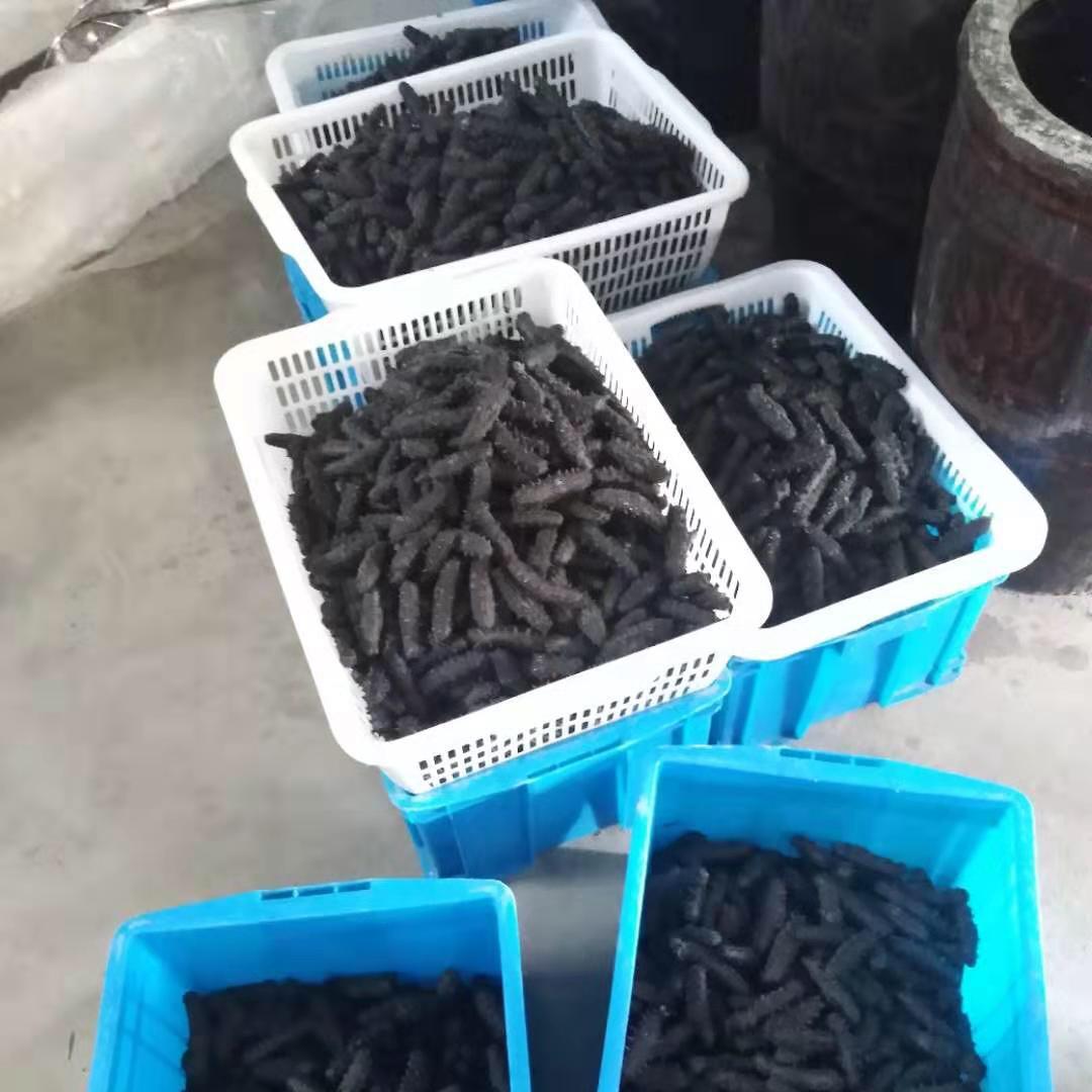 海参哥