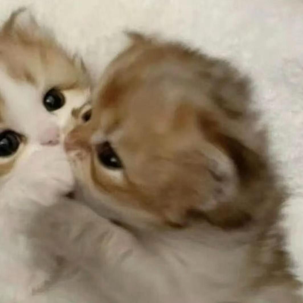 可以叫我孙笑喷。