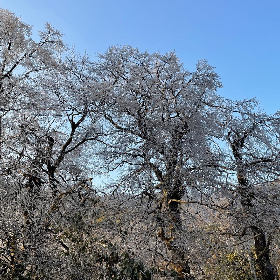 大漠雄鹰