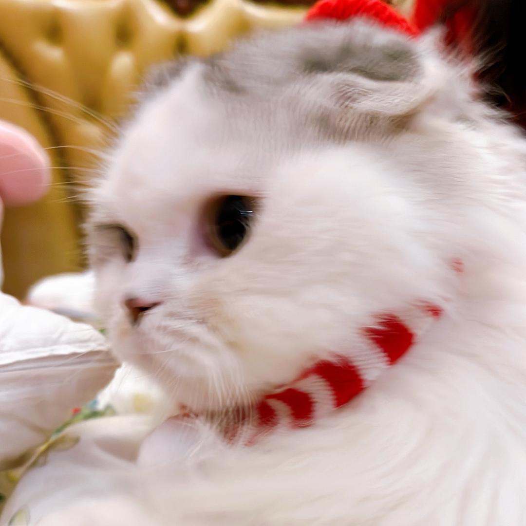 瑩头像