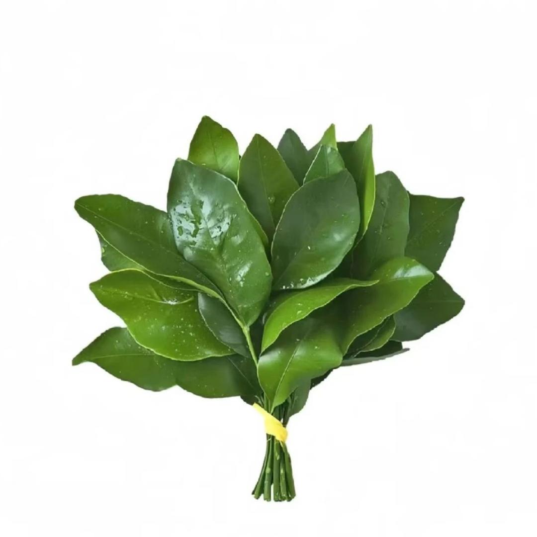 羊咩咩的优品小铺