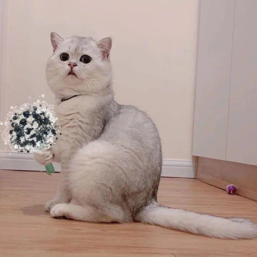过客@