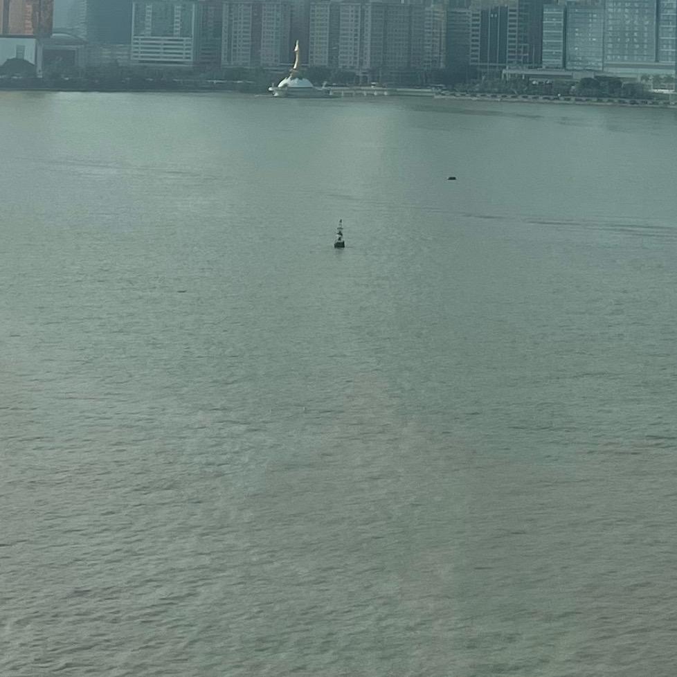 可乐💗