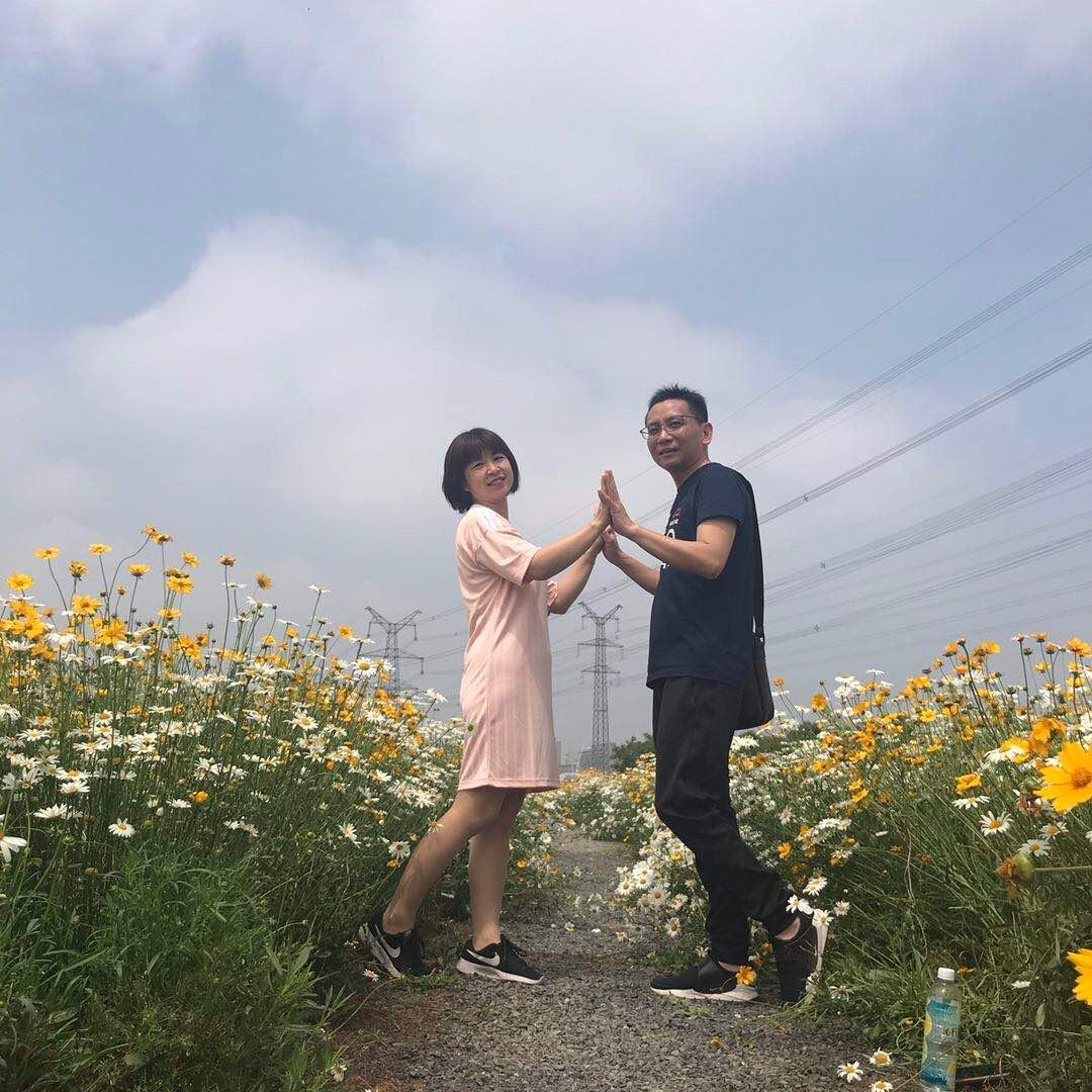 岚岚