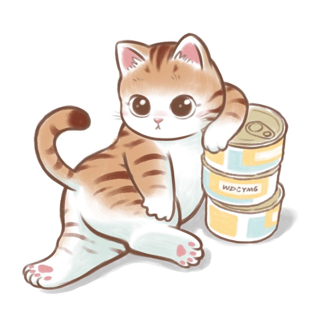 张家港上门喂猫寄养