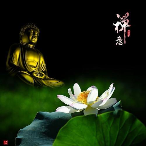 聚善缘🙏🙏