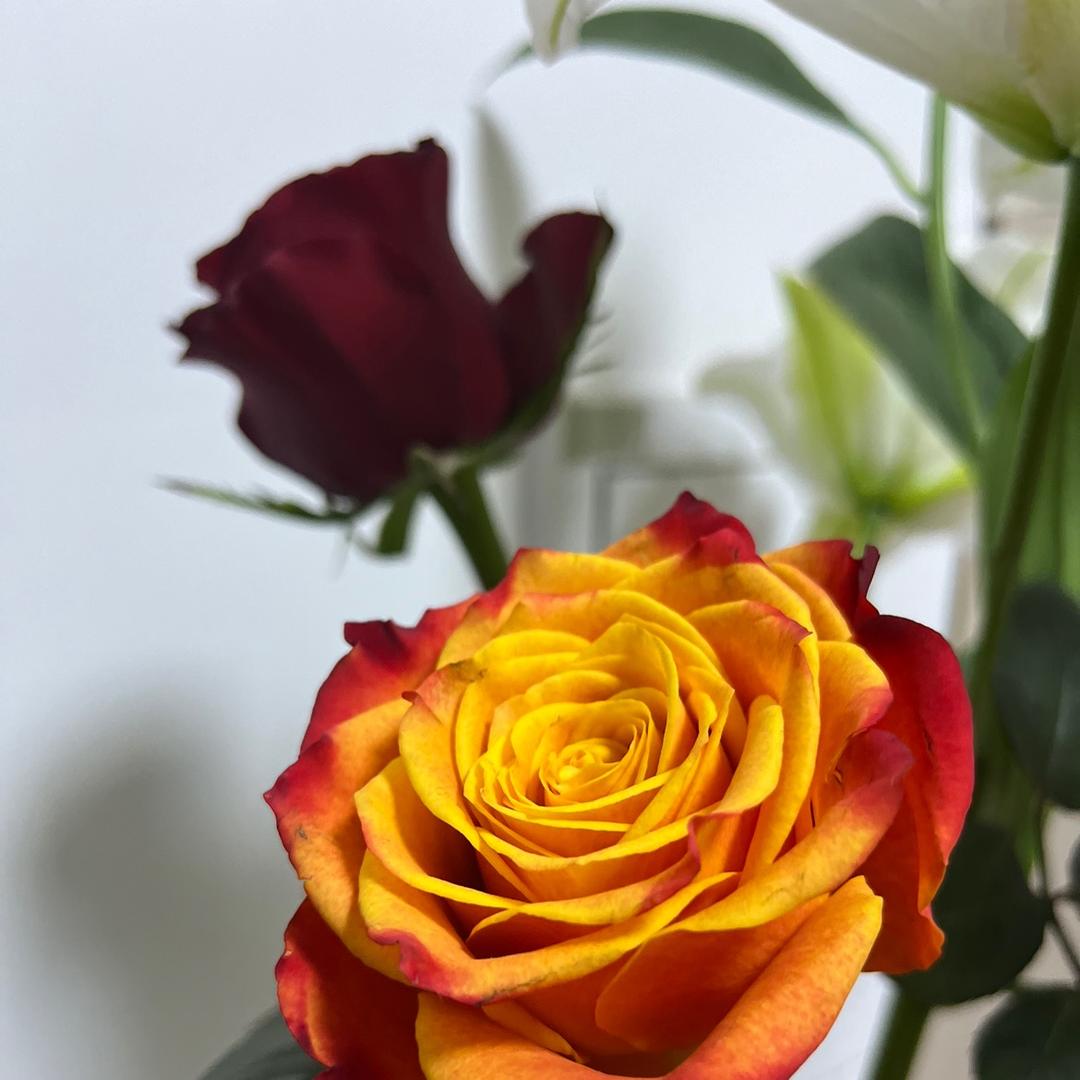 俏焙佳鲜粮油专卖店