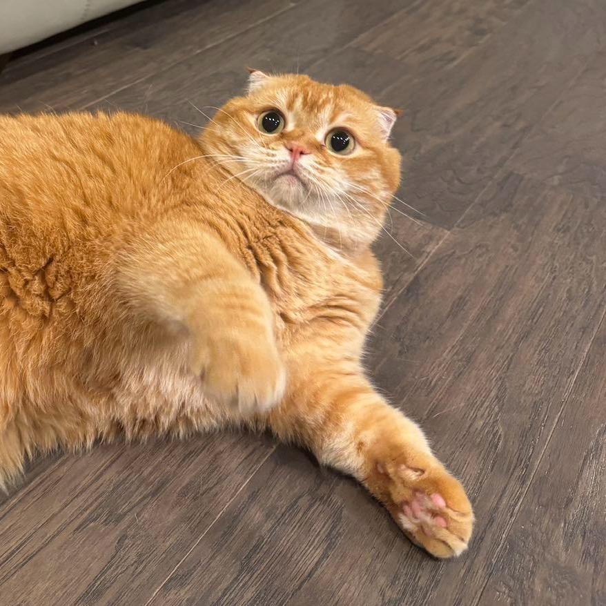 赵怡