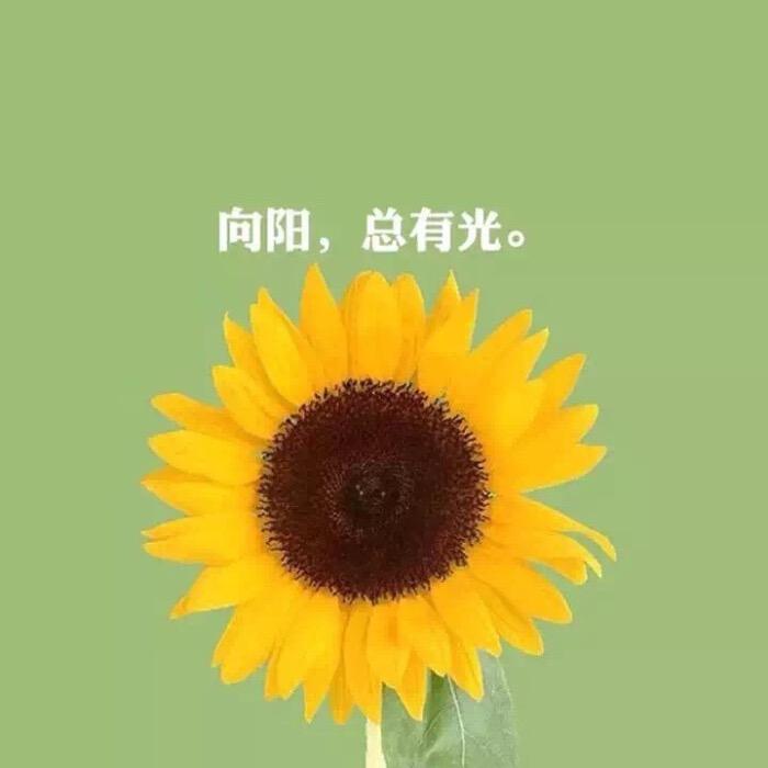 Six……
