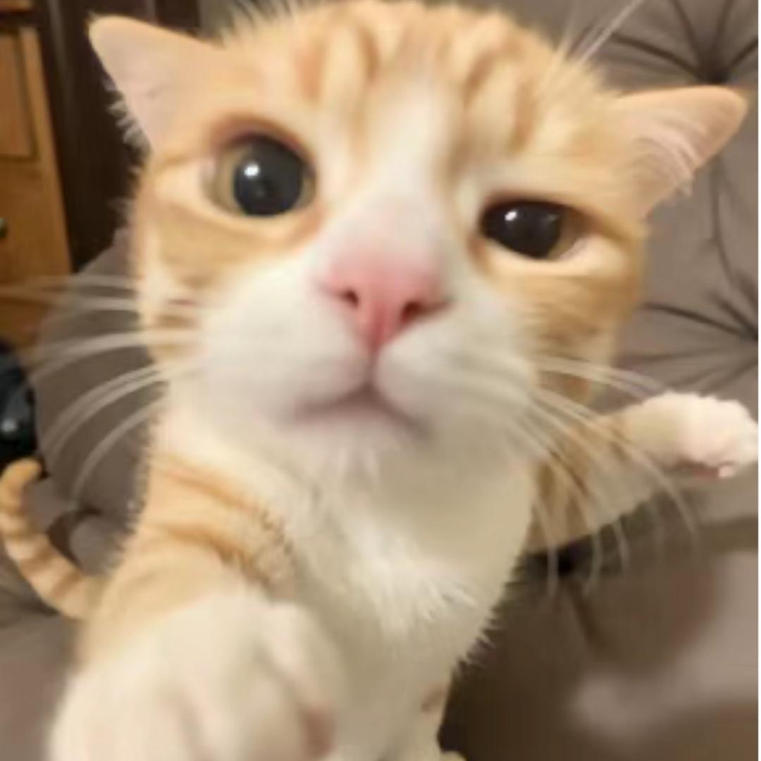 睡醒了还困