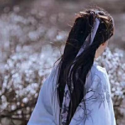 晓风风风