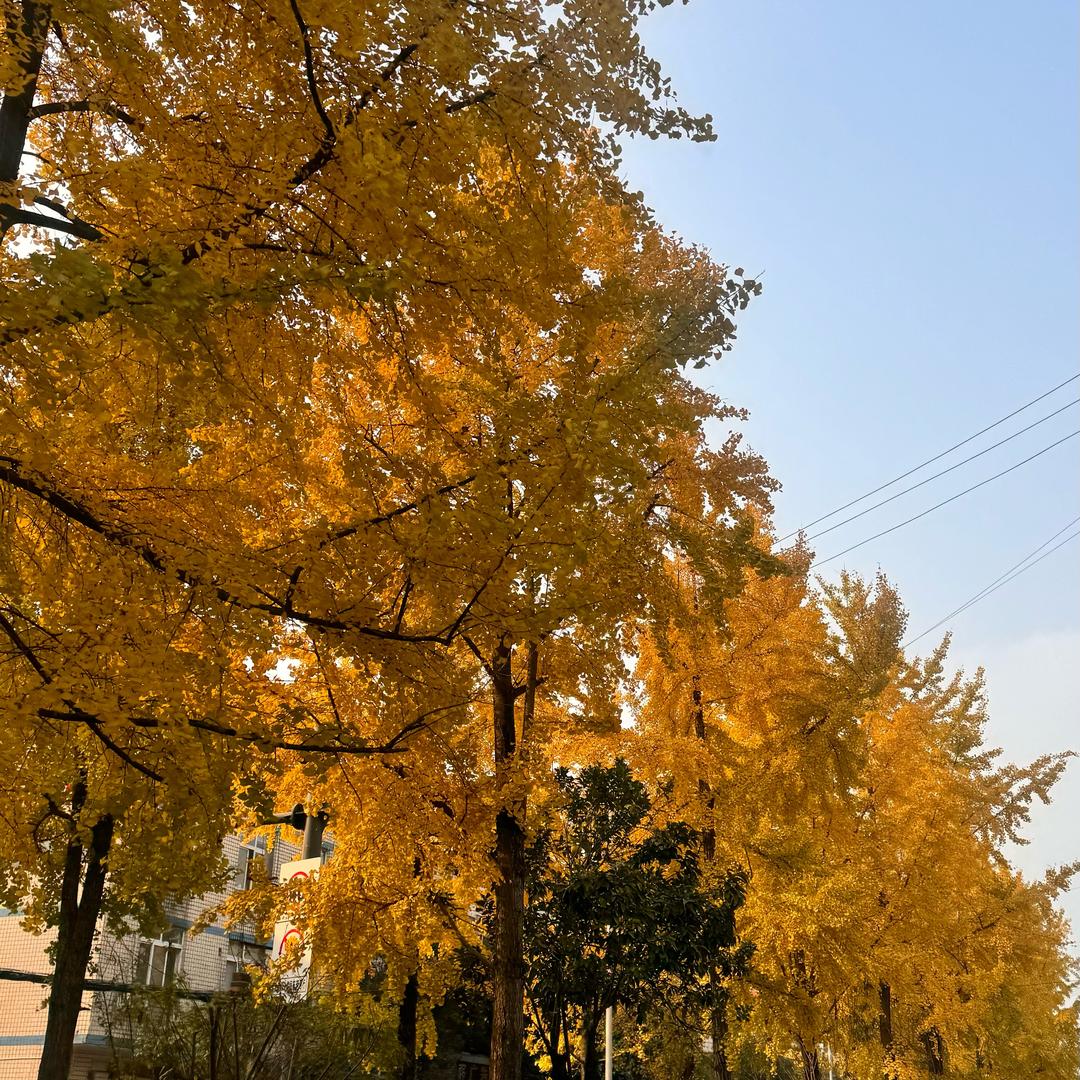 已过期