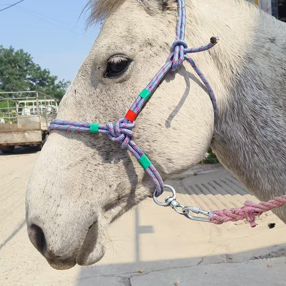 假驴肉-北部小马驹