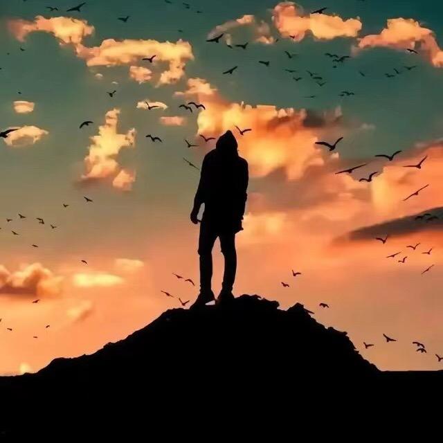 南风知我心
