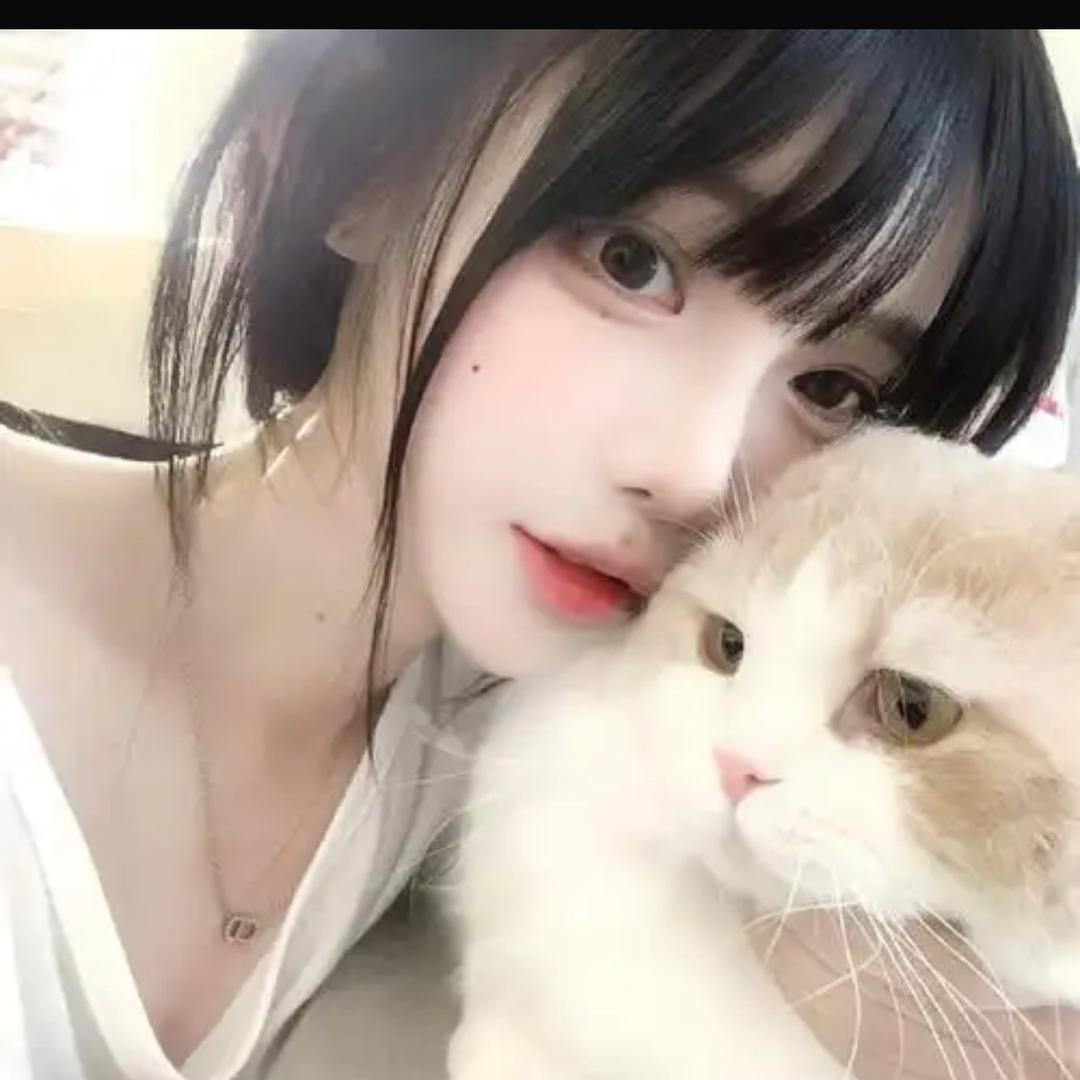 森林的鹿🦌
