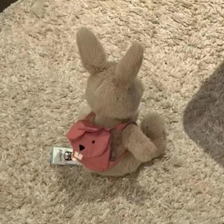 纯鱼椰