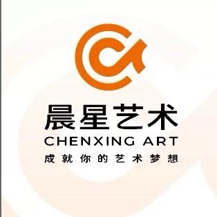 杭州晨星艺术