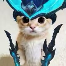豪