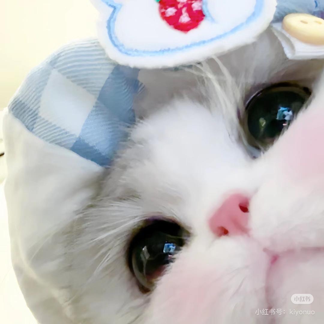 安溪｜小葵美甲屋