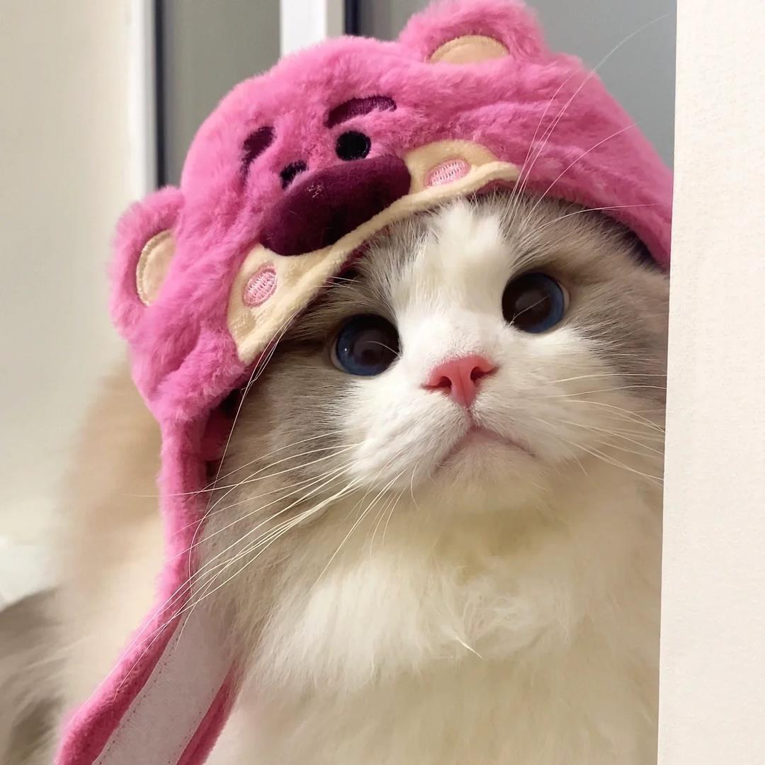 姚一摇🌈