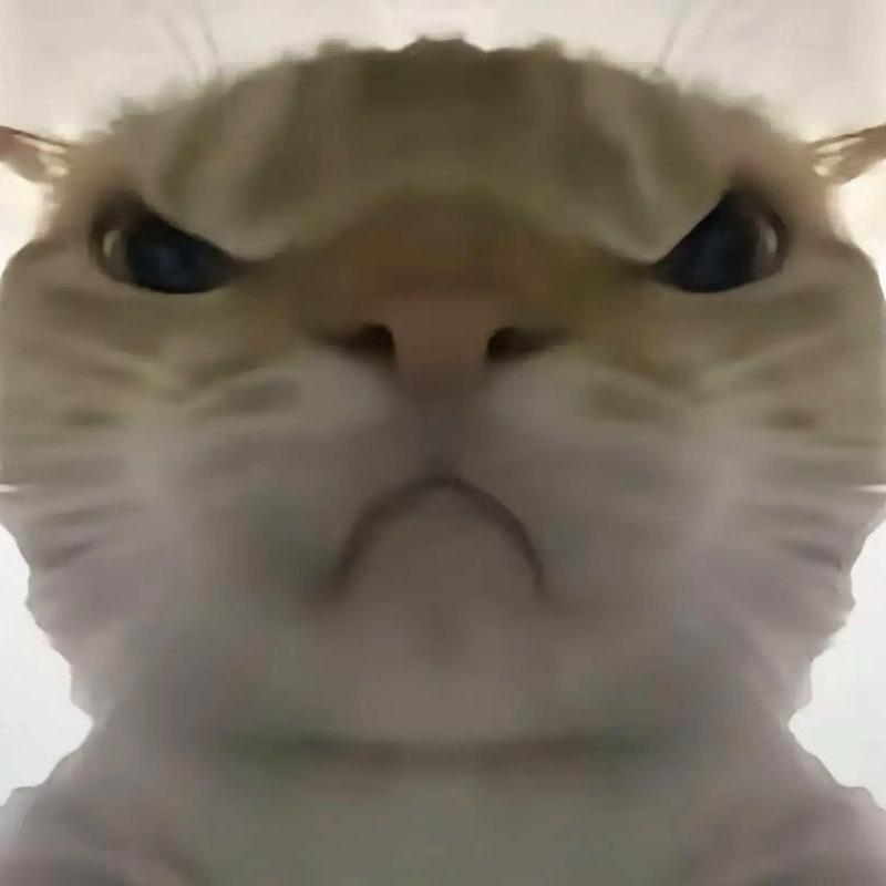 浩宇跑刀 （三角洲）