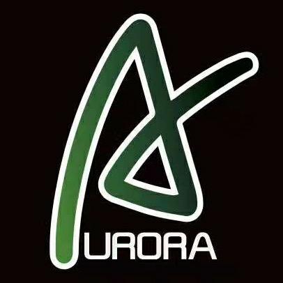 上海应技大极光橄榄球队