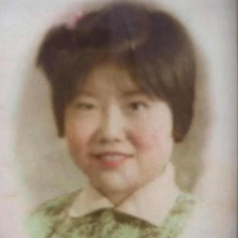 云游天下